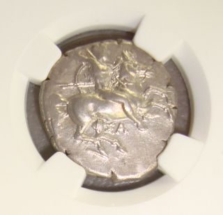 Ca.  325 Bc Calabria,  Taras Ancient Greek Silver Didrachm Ngc Choice Xf 4/5 4/5 photo