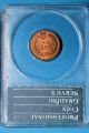 1900 Indian Head Cent Pcgs Ms65rb - Exceptional Eagle Eye Endorsed Gem,  Ogh Small Cents photo 3