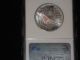 Platinum 2006 (p) American Eagle 1oz Ngc Ms 69 $100 Rare Coin Coins: US photo 7