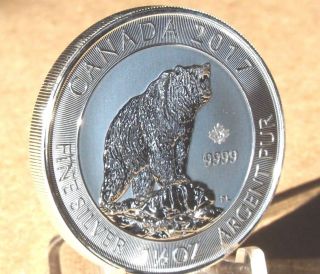 2017 Grizzly Bear Canada 1.  5 Oz Canada $8 Silver Coin photo