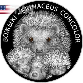 Belarus 2011 20 Rubles Hedgehogs Proof Silver Coin photo