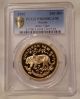 Russia 1996 Gold Proof Coin 200 Roubles Russian Amur Tiger Ngc Pf69 Deep Cameo Federation (1992-Now) photo 4