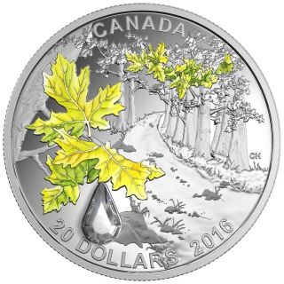 2016 Canada $20 Fine Silver Coin - Jewel Of The Rain - Bigleaf Maple photo