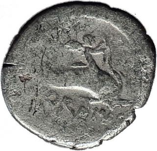Roman Republic 46bc Julius Caesar Family Venus Cupid Dolphin Silver Coin I58830 photo