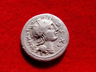 Lucernae M.  Sergius Silus Silver Denarius,  Rome In 116 B.  C.  M Sergi / Silvs. photo