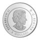 Canada 2017 Silver Coin $10 Butterflies Celebration Of Love 10 Cad Swarovski Coins: Canada photo 3