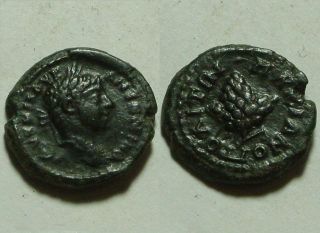 Rare Ancient Roman Coin Elagabalus Marcianopolis Grape Bunch photo