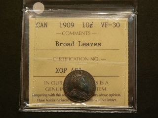 Canada,  1909 Ten 10 Cents,  Iccs Vf - 30 Broad Leaves 4159 photo