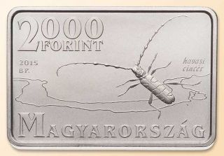 Hungary 2000 Forint 2015 Duna Ipoly National Park Insect Bug Tetragonal Bu photo