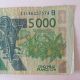 5000 Franc Banknote - Central Bank Of West Africa - Circulated - 2003 Africa photo 3