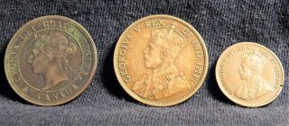 1888 - 1911 & 1931 Canadian Cents photo