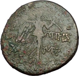 Sinope In Paphlagonia Time Of Mithradates Vi The Great Gorgon Greek Coin I51956 photo