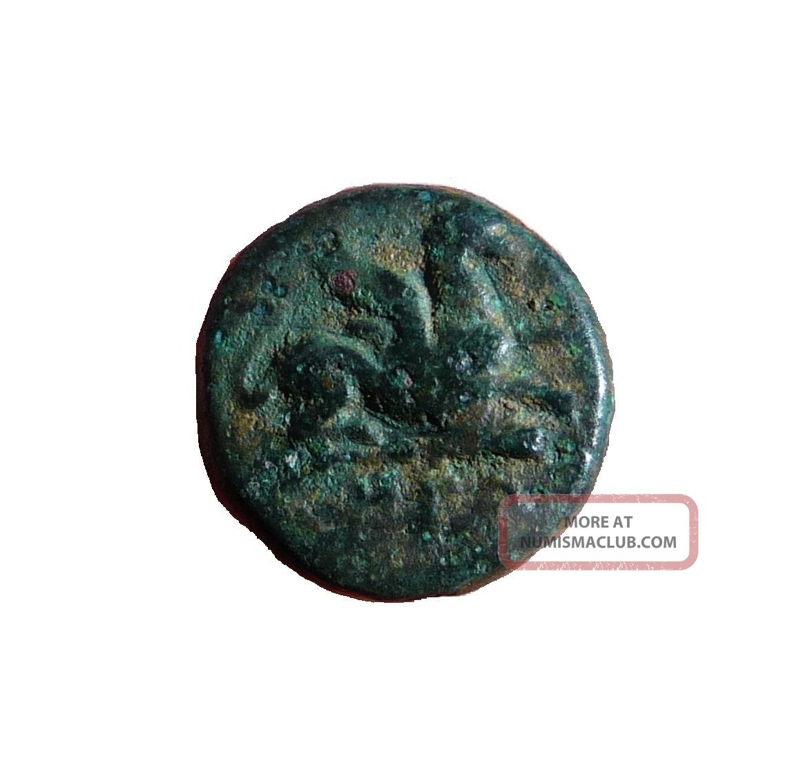 Thrace,  Abdera Griffin - Apollo Magistrate Herakleon 4thc Bc Coins: Ancient photo
