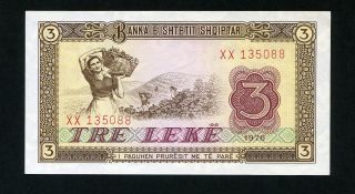 Albania 3 Leke 1976 P - 41 Unc Uncirculated Banknote photo
