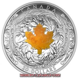 Canada 2016 $20 1 Oz Fine Silver Coin - Majestic Maple Leaves With Drusy Stone photo