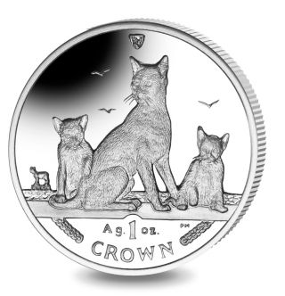 2016 Isle Of Man Havana Brown Cat Coin 1 Oz Silver Proof & photo