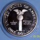 U.  S.  A Commemoratives Silver Dollar 1989 S Congress Bicentenni Gem Proof Silver Commemorative photo 1