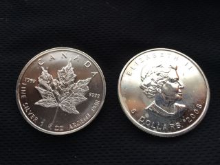 2008 Canadian Maple Leaf 1 Oz 5 Dollar Silver Coin 99.  99 Bu photo