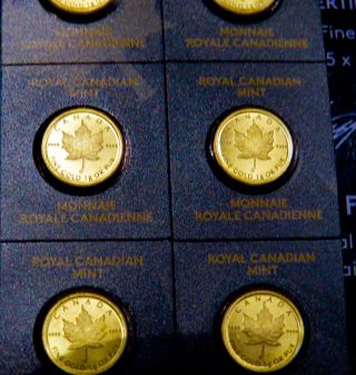 2014 Royal Canadian Maplegram - One Gram Gold Maple.  9999 Fine Gold photo
