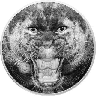 Black Panther Rare Wildlife 2 Oz Silver Coin 1500 Shillings Tanzania 2016 photo