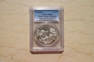 Pcgs Ms69 China 1995 1oz Silver Panda Coin (small Twig,  Small Date) photo