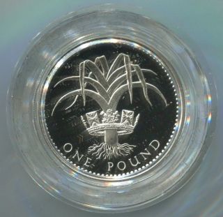 1990 British Silver 1 Pound Coin Proof (cnt417127) photo