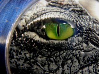 Congo Chinse Alligator With Natures Eyes 2016 2 Oz 999/1000 Silver Coa153 Of 999 photo