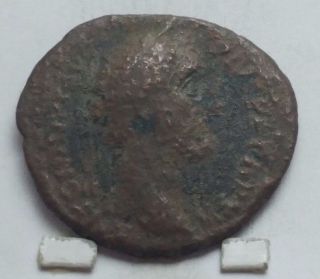 Ancient Roman Antoninus Pius Elephant Bronze Coin photo