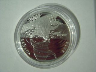 Canada 2016 $10 Reflections Of Wildlife: Otter,  Pure Silver Proof Coin photo