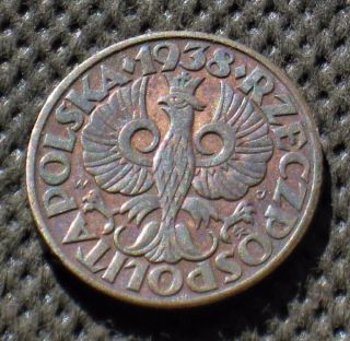Old Coin Of Poland 5 Groszy 1938 Second Republic (ii Rzeczpospolita) (3) photo