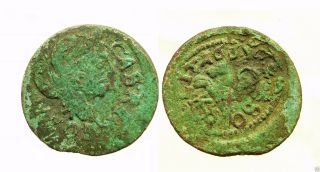 Lithuanian Medieval Copper Coin Solidus 166? Y.  (b817) photo