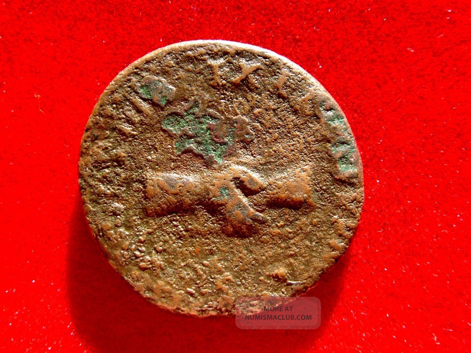 Lucernae Nerva (96 - 8 Ad) Bronze As Rome Concordia Exercitvm Clasped Hands Ric 69 Coins: Ancient photo