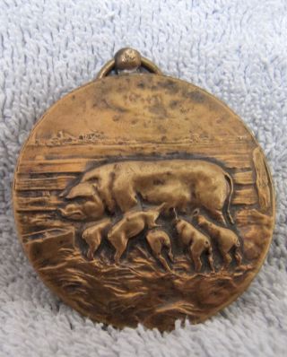 1928 Dutch Agriculture Pig Medal Mother And 5 Piglets photo