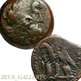 Ptolemy Vi,  Viii Co - Rule Zeus Ammon,  2 Eagles Ancient Greek Bronze Coin Egyptian photo