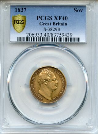 1837 Great Britain King William Iv Gold Sovereign Scarce,  Pcgs - Xf - 40. photo
