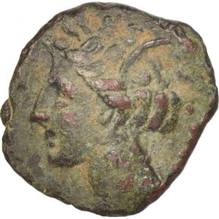 [ 505961] Carthage,  Zeugitane,  Bronze Ae16,  Bronze photo