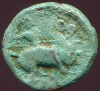 Greek Coin Philippos Macedonia Herakles Horseman 1,  40 G / 10,  89 Mm Grk1361.  10 photo