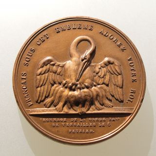 France - The National Guard Of Versailles Medal photo