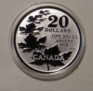 2011 Canada.  9999 Silver $20 Maple Leaf Coin In Capsule photo