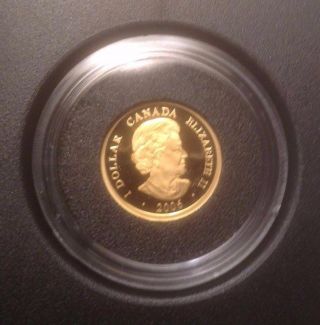 2006 Canadian $1 Gold Louis D ' Or 1/20 Oz.  Gold Coin photo