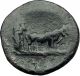 Tiberius 14ad Colonists Founding Parium With Oxen Ancient Roman Coin I59263 Coins: Ancient photo 1