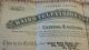 Rare June 1932 John Logie Baird 25 Shares Baird Television Stock Certificate Stocks & Bonds, Scripophily photo 1