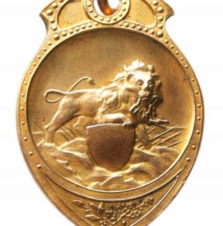 The Mighty Lion - Ancient Art Medal Pendant photo