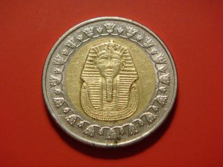 Egypt 1 Pound,  2008,  Ah1429,  Sphinx photo