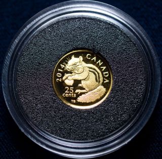Royal Canadian 2014 25 Chipmunk Gold Proof (box, ) photo