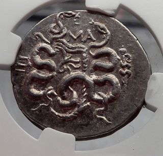 Pergamon Pergamum Mysia Silver Tetradrachm Ancient Greek Coin Cista Ngc I60123 photo