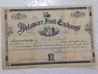 Delaware Fruit Exchange 1880s Stock Certificate Antique Rare Vintage Agriculture photo