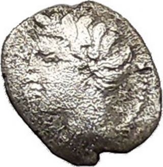 Panormos As Zis In Sicily 410bc Litra Silver Greek Coin Male & Man Bull I41457 photo