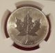 2007 Canada Palladium Maple Leaf Pd$50 Ms 66 Ngc,  No Longer Minted,  Very Rare Bullion photo 4
