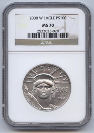 2008 - W Burnished 1 Oz.  Platinum Eagle $100 Ngc Ms70,  Statue Of Liberty photo